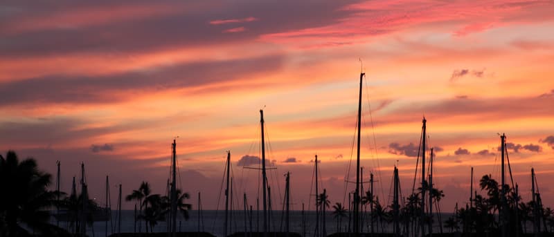 Sunset sky over sailboat masts at the Ala Wai Small Boat Harbor